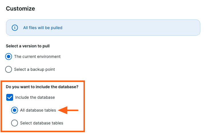 Include all database tables in the copy