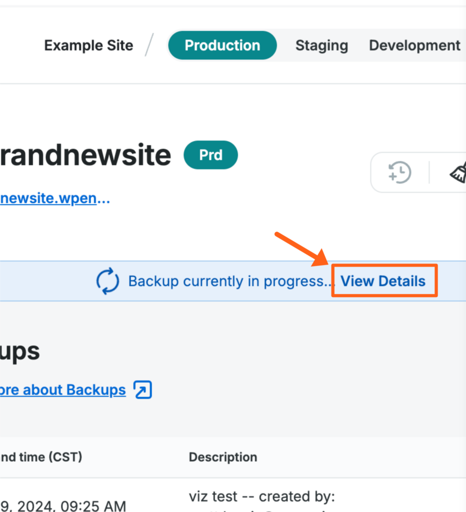 Screenshot of an environment's page in the WP Engine User Portal showing the View Details link in a backup status banner.