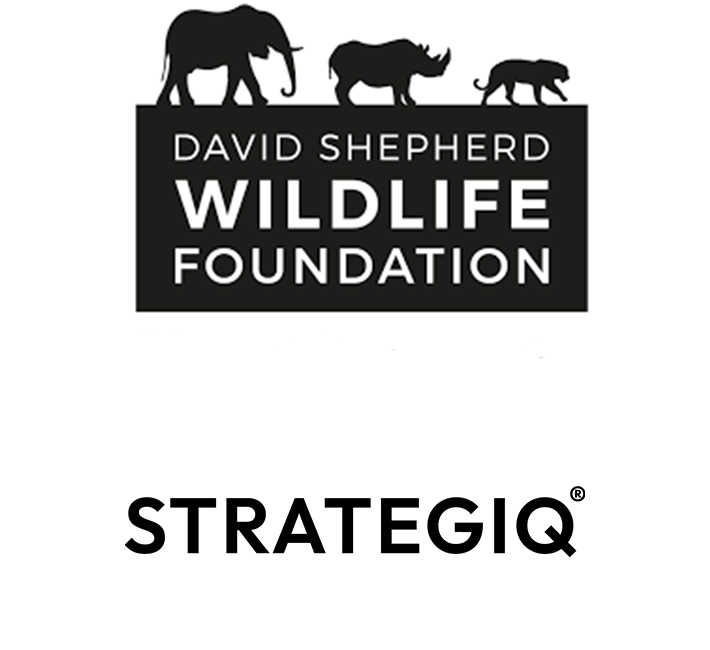 Logos for David Shepherd Wildlife Foundation and StrategiQ